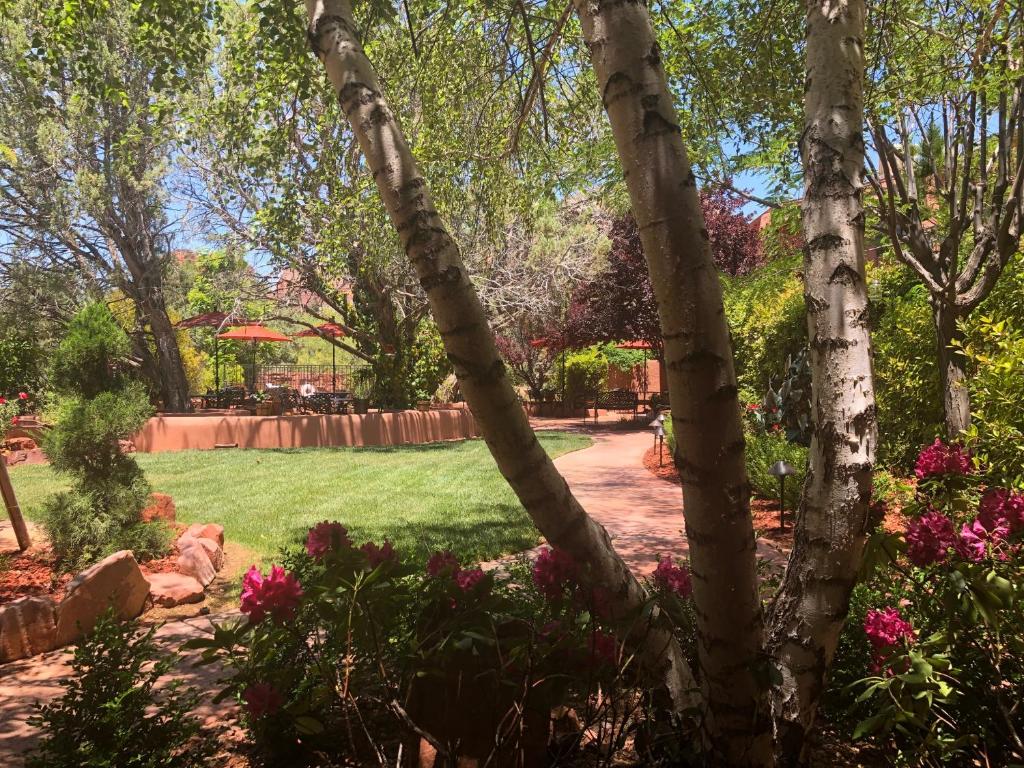 The garden of a hotel with flowering plants 