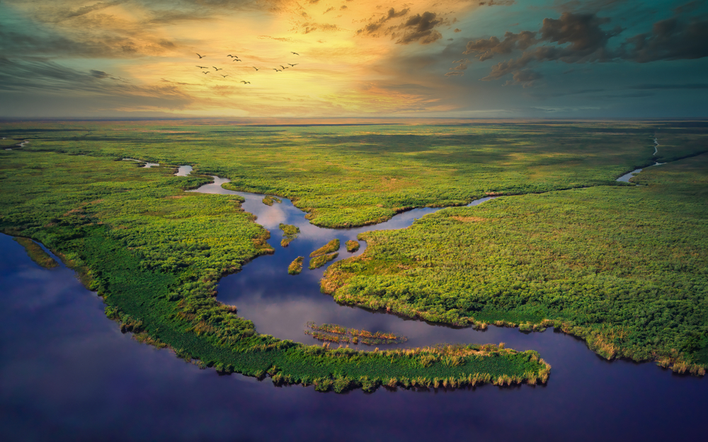 an ariel view of the everglades at sunset time