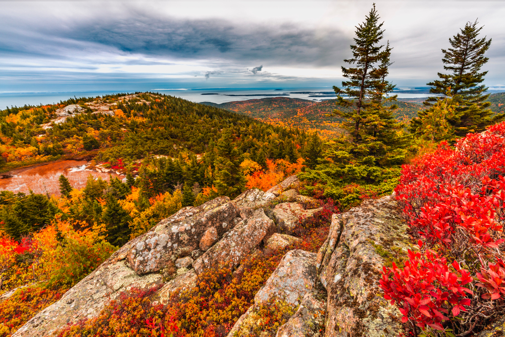 Looking out over Acadia National Park with fall foliage and rocks.