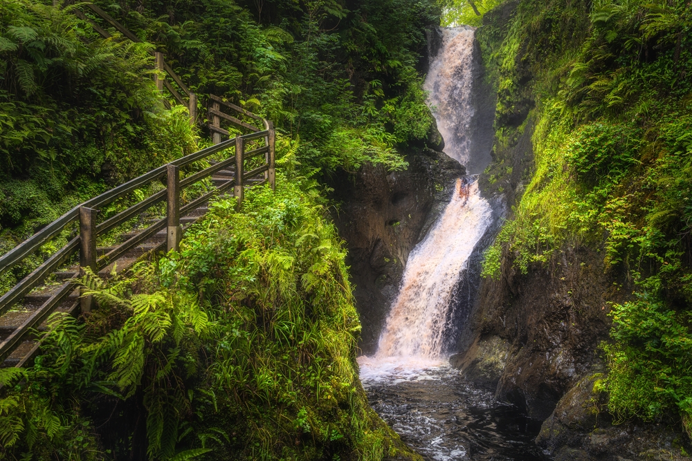 A beautiful waterfall gushing through greenery with stairs next to it.