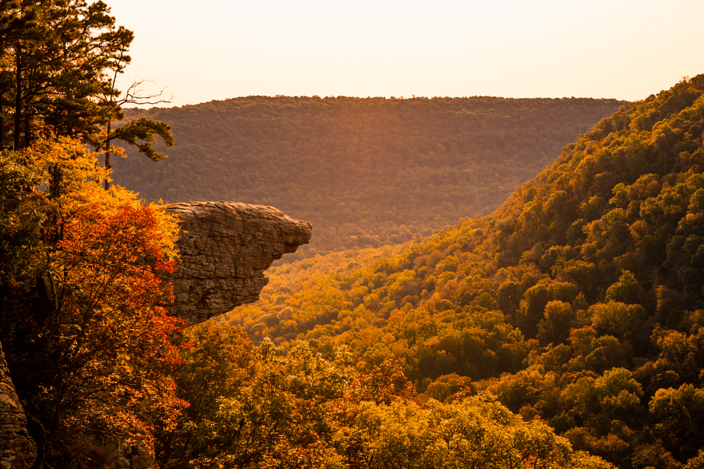 The Hawksbill Crag rock hanging over a fall forest.