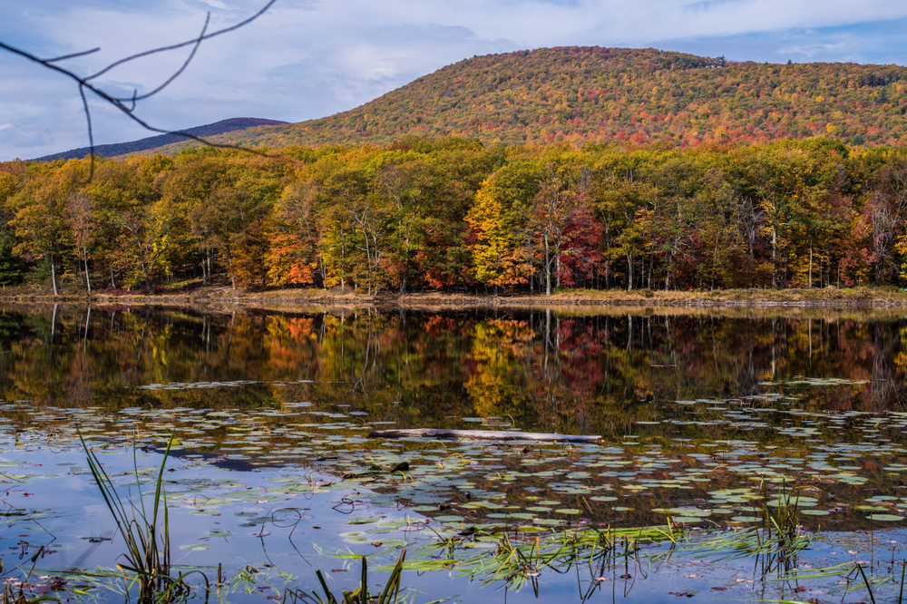 Reflection of fall colored mountain in a lake.