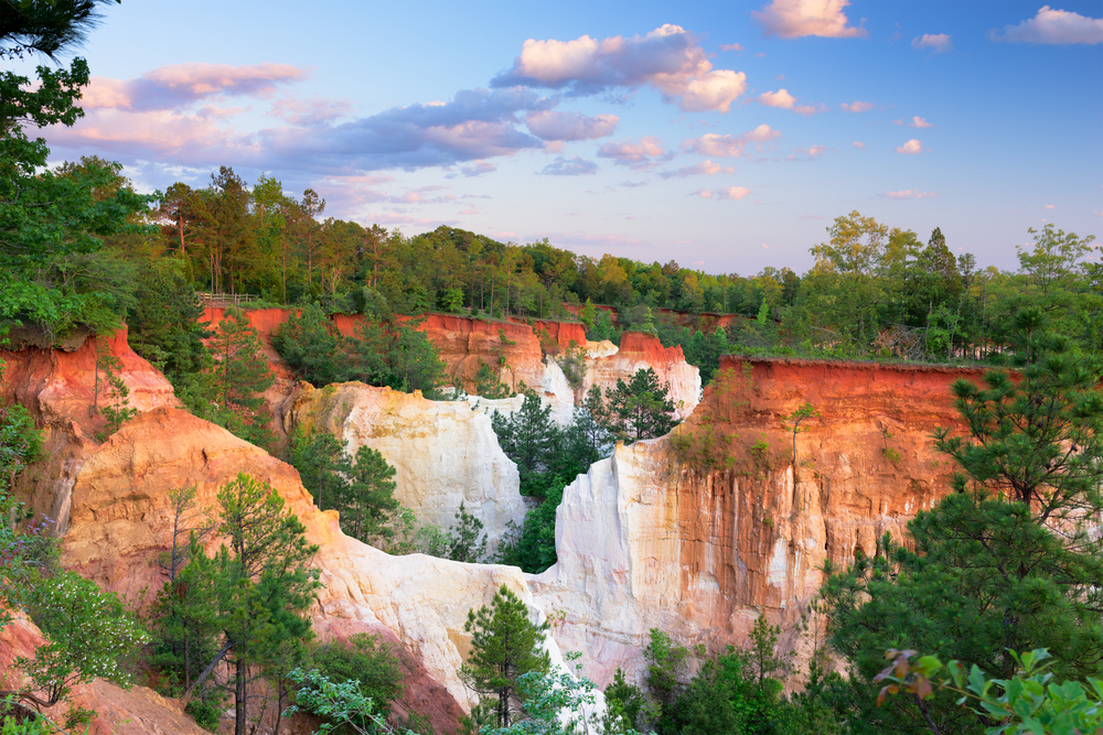 the grand canyon of Georgia is one of the not to miss state parks with red rock walls surrounded by green trees