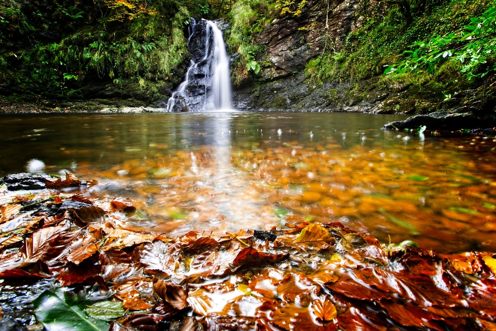 Tourmakeady County Mayo Ireland Autumn leaves fall around a babbling brook and waterfall