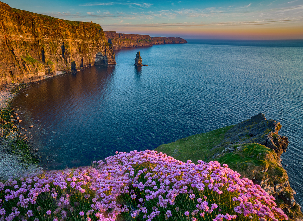  The Cliffs of Moher and castle Ireland. Epic Irish Landscape UNESCO Global Geopark along the wild atlantic way. Beautiful scenic nature with flowers in the forefront. 