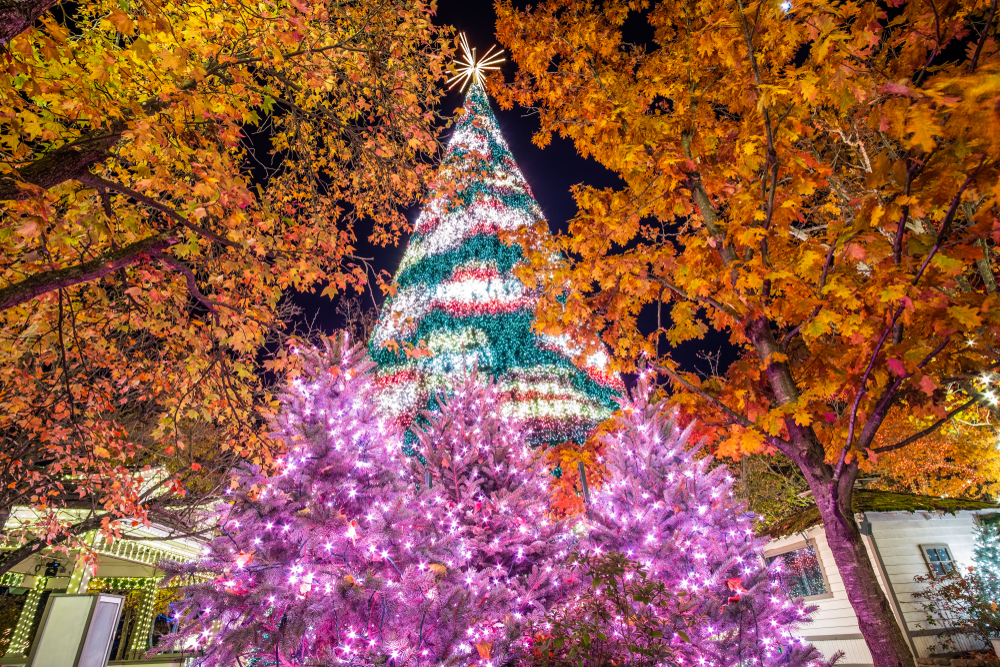 a big christmas tree that is all light up in Branson, Missouri 