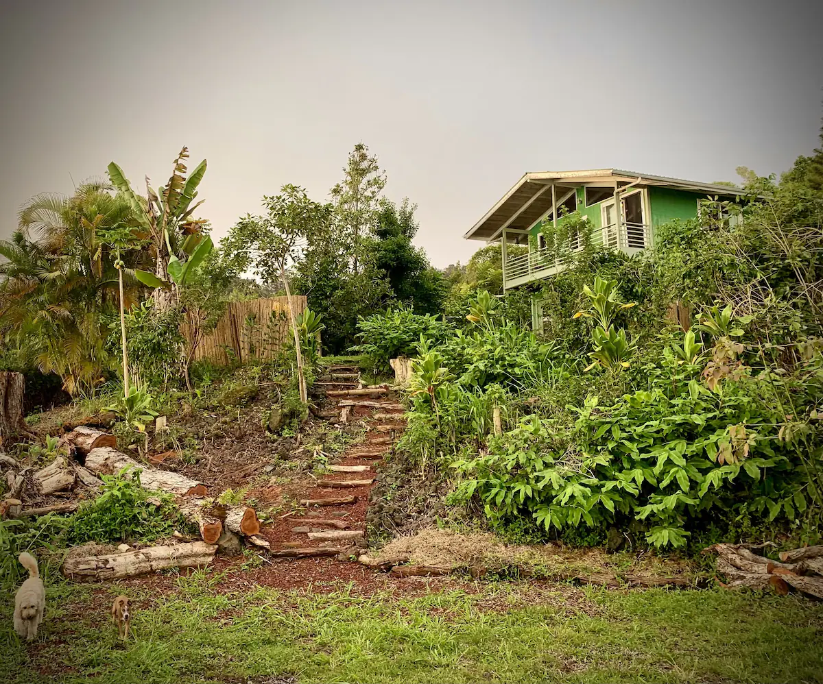 View of the steps up to a green bungalow in Hawaii surrounded by tropical greenery