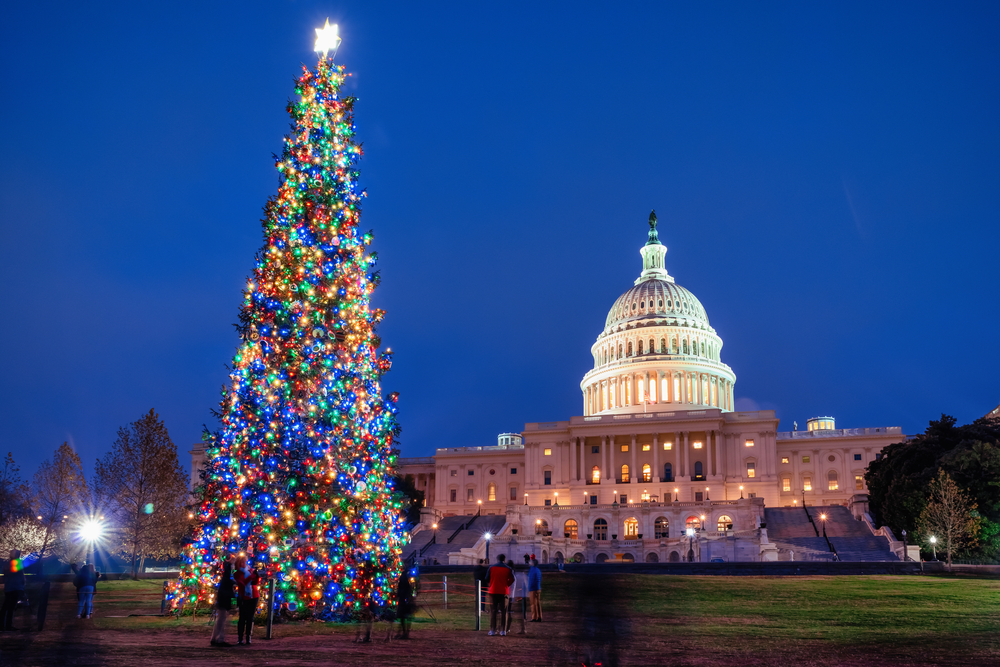 Massive Christmas tree in the lawn in front of the Capitol Building in Washington DC at night.