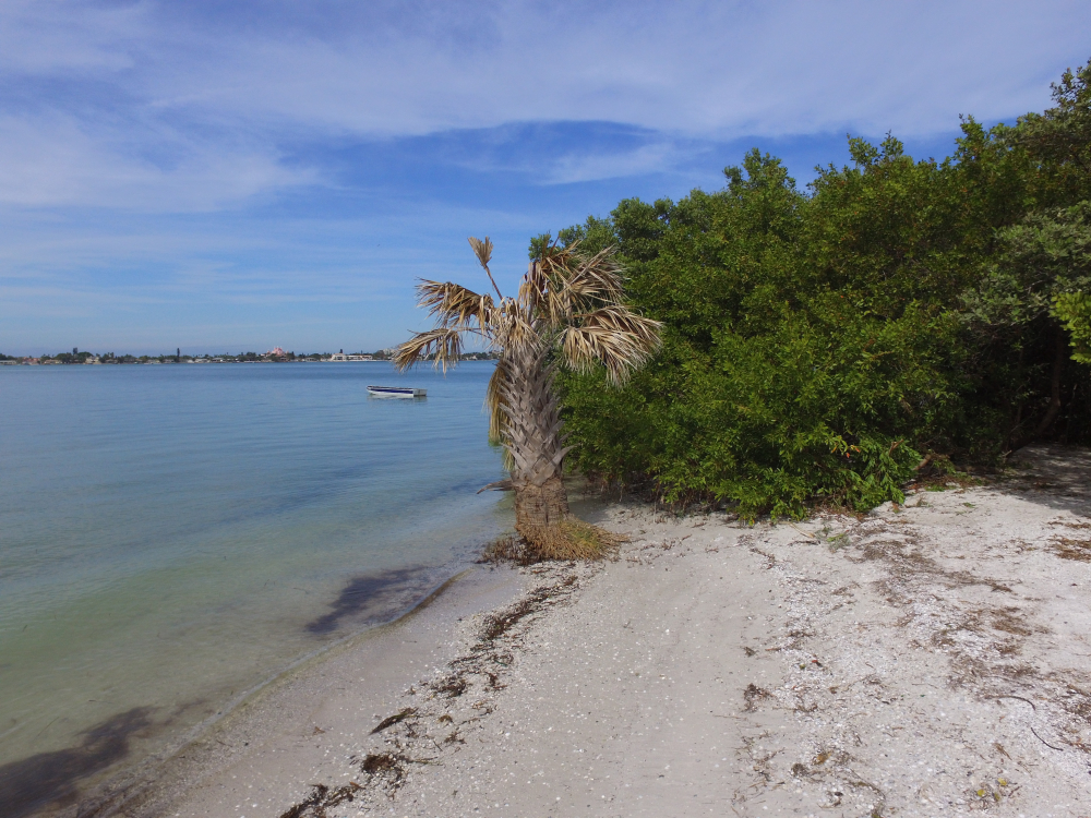A tiny beach with mangroves and coarse sand sits near TPA, and has a small boat floating in the distance. 