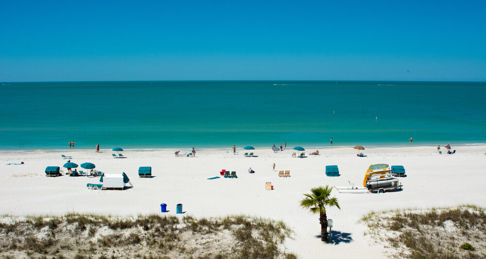 white sand beach with blue water and blue sky and palm trees in tampa florida