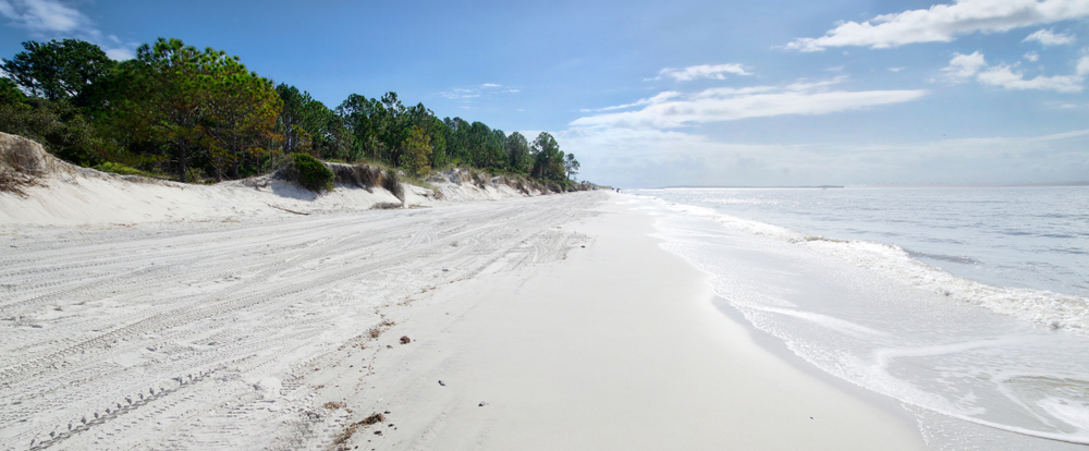 bright white sand, crisp blue skies and dustings of clouds with dark green trees!