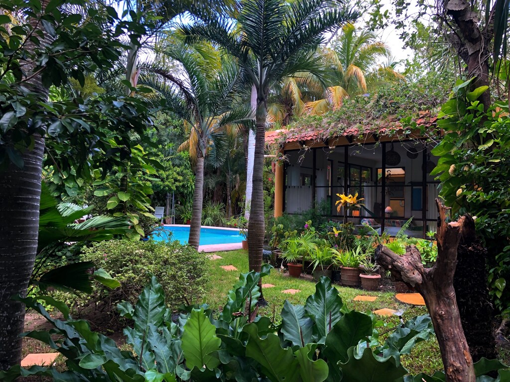 View of the jungle, pool and adorable vine covered bungalow of this VRBO in Cancun. 