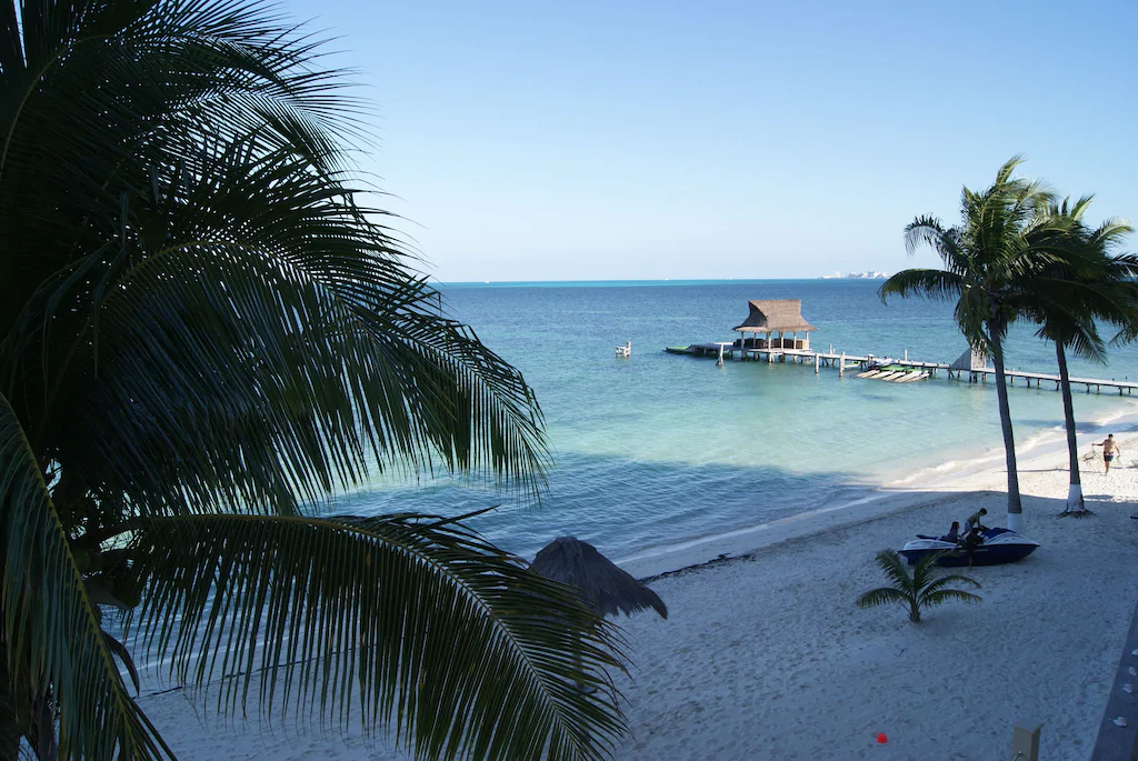 View of a white sandy beach with a dock, palm trees, and tropical blue waters. 