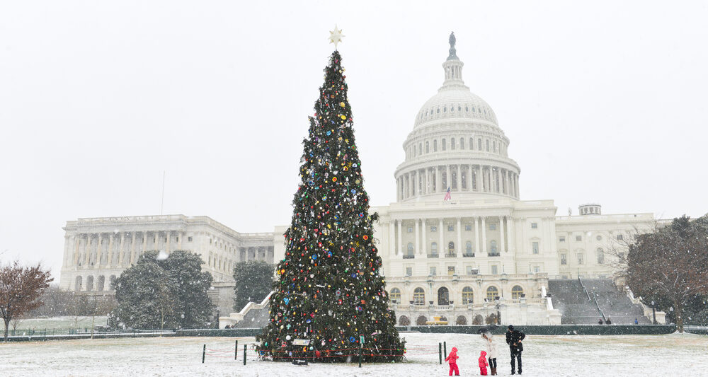 An image of the capitol building and presidents park made up with a fully decorated National Christmas tree, one of the best ways to enjoy Christmas in Washington DC!