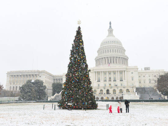 An image of the capitol building and presidents park made up with a fully decorated National Christmas tree, one of the best ways to enjoy Christmas in Washington DC!