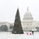 An image of the capitol building and presidents park made up with a fully decorated National Christmas tree, one of the best ways to enjoy Christmas in Washington DC!