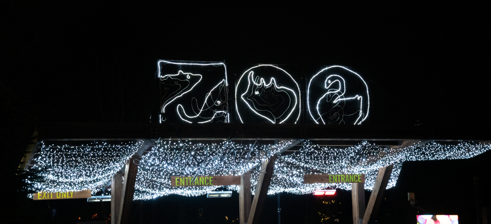 a lovely lit up Zoo sign at the entrance of the Smithsonian National Zoo!