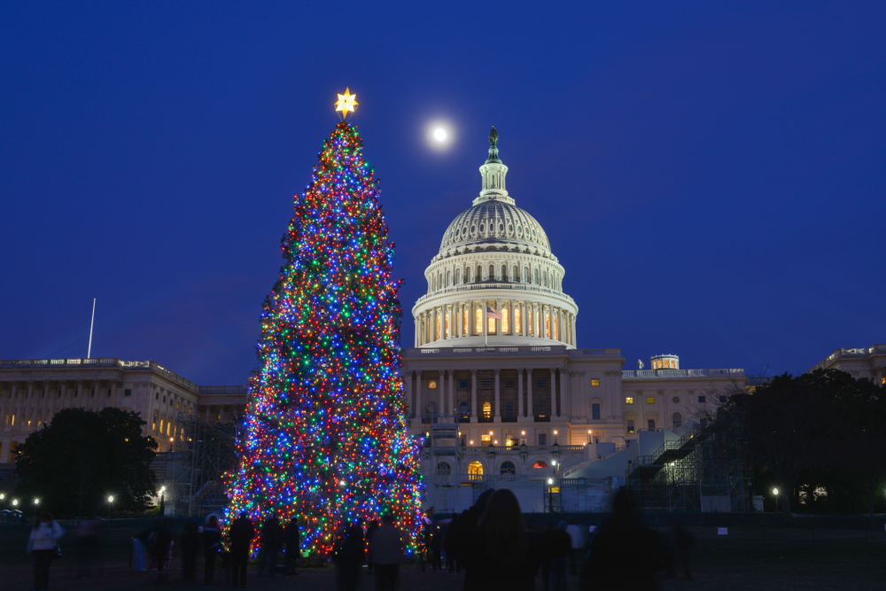 An illuminated capitol building and brightly lit national Christmas tree, a beautiful site for a lovely Christmas in Washington DC!