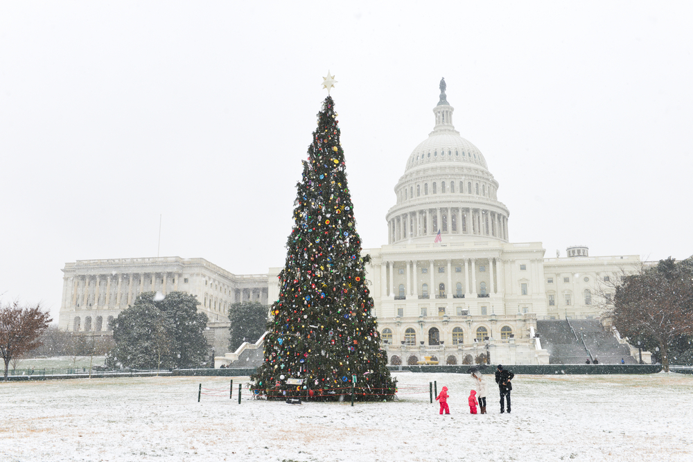 An image of the capitol building and presidents park made up with a fully decorated National Christmas tree, one of the best ways to enjoy Christmas in Washington DC!