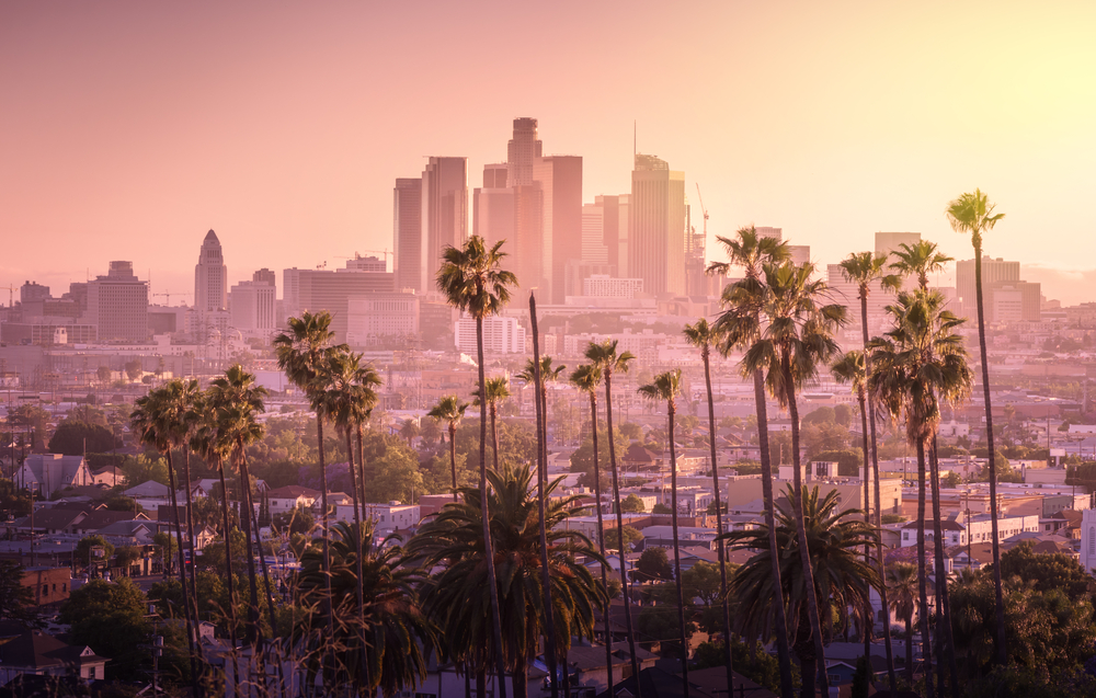 A view of the Los Angeles skyline as the sun is rising with palm trees