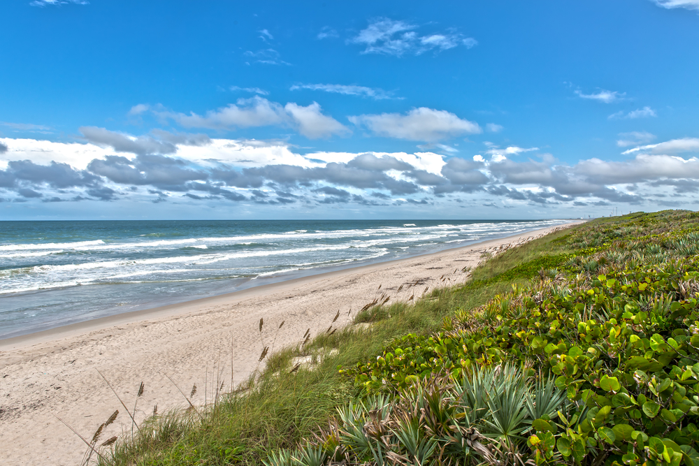 a beautiful sandy beach shore with green dunes in the back round. there are white wave caps rolling in and beautiful white fluffy clouds. 