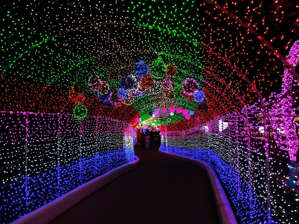 Coconut Creek's Holiday Festival of Lights drive through tunnel. The Christmas lights are white, blue, purple, red, and green with people in the background.