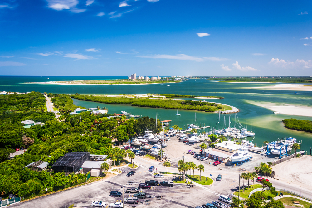 a port on the New Smyrna Beach near Orlando FL with pretty blue waters, lovely boats, and plenty of green palm trees. 