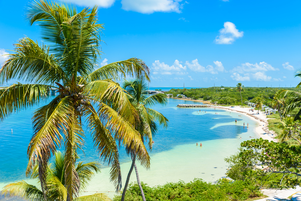 The view of the beach at Bahia Honda State Park with crystal blue water and tons of palm trees