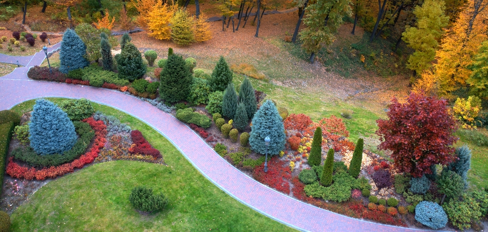 Colorful alley in the autumn arboretum. Great variety of conifers and deciduous plants. Landscaping. Drone view