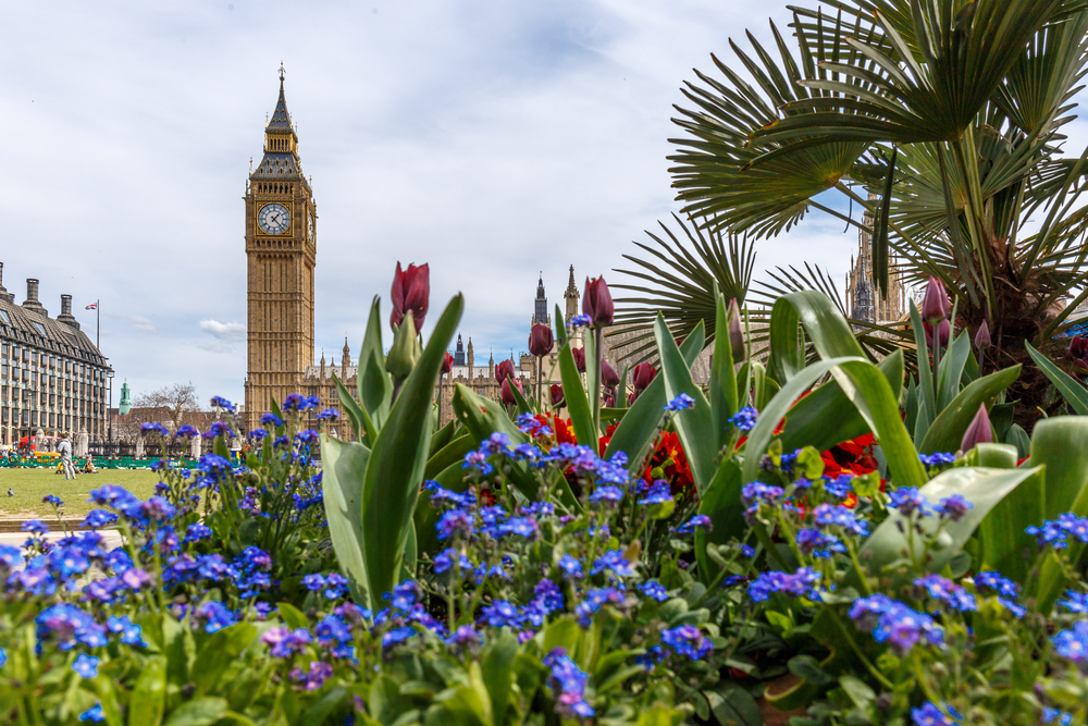 Bog Ben with flowers in front of it. Spring is the best time to visit London.