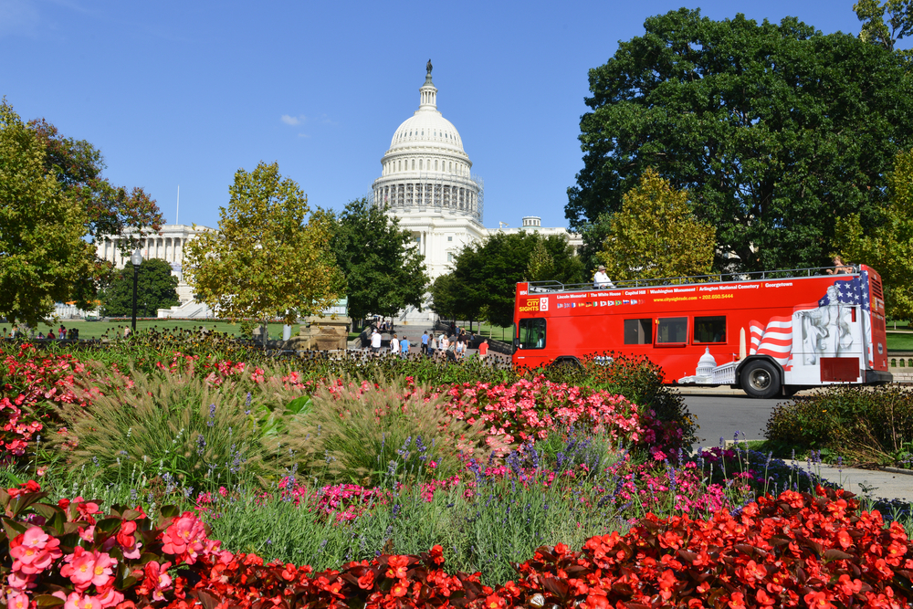 a red white and blue hop on and off bus in DC. this is a great way to explore during a weekend in Washington DC