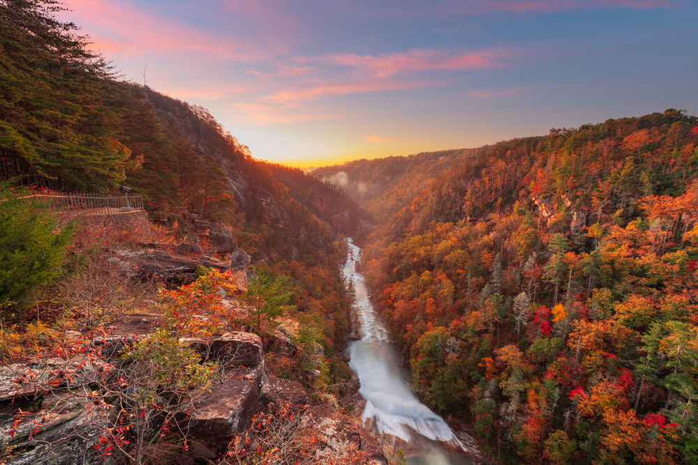 Center view of Tallulah Gorge at sunset during fall with water flowing down the center and sun glowing in the background 