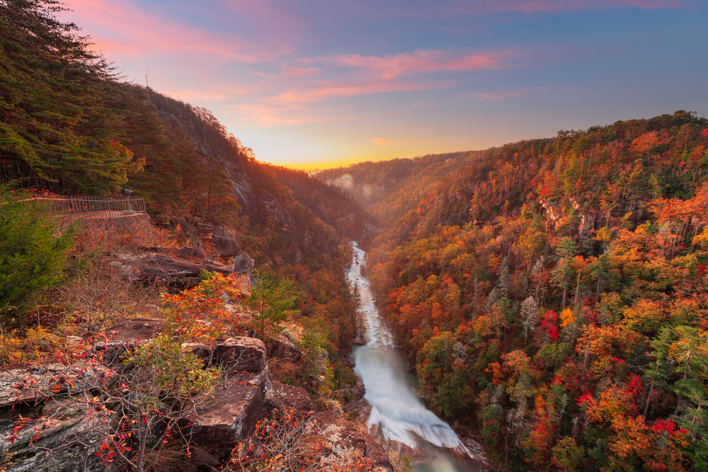 Center view of Tallulah Gorge at sunset during fall with water flowing down the center and sun glowing in the background