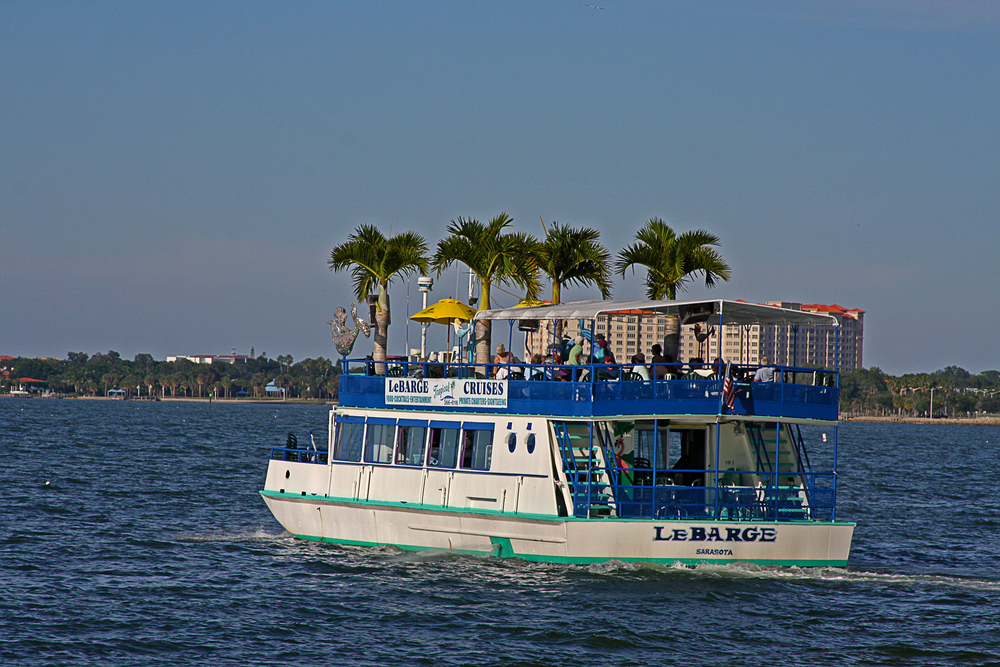A large sunset dolphin cruise sets sail in the water, going off to explore and look for sea life. 