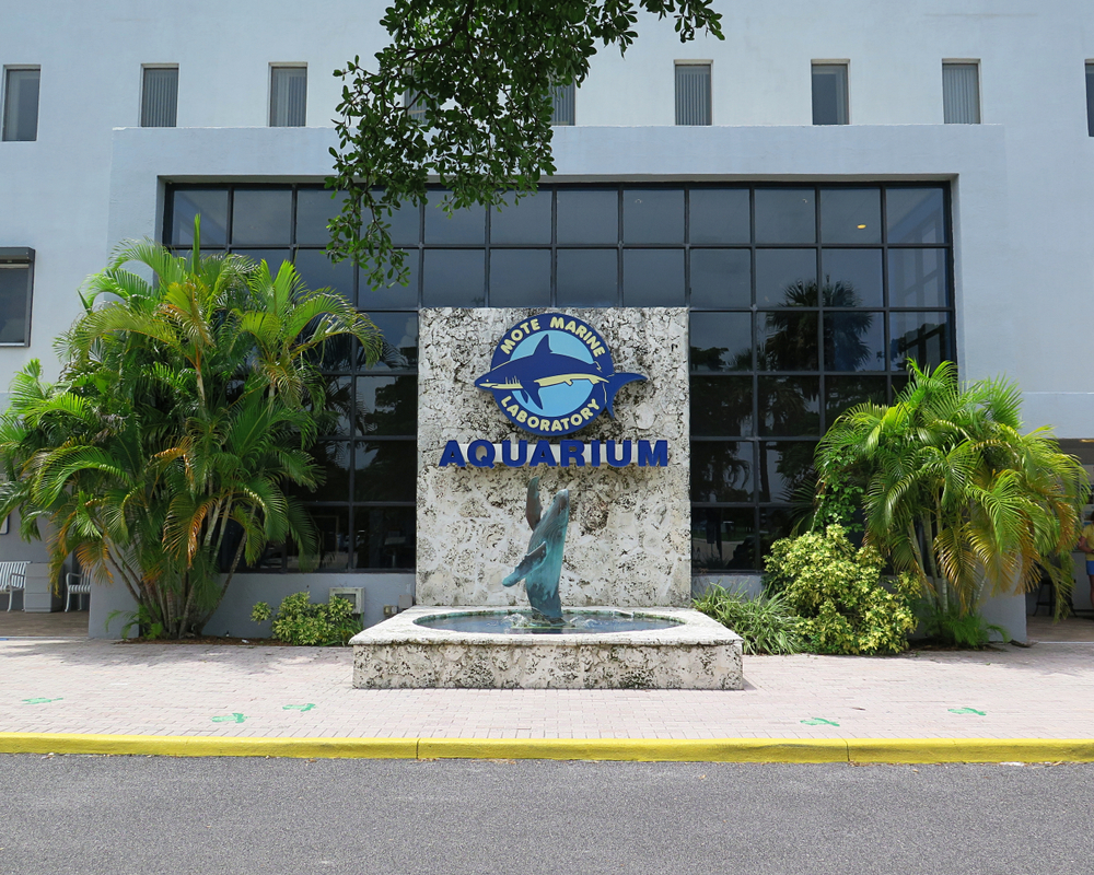 The sign of the Motel Marine Aquarium stands in front of a large window building, with statues of whales and signs of sharks. 