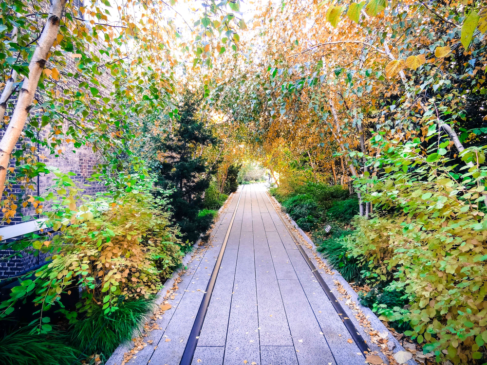 the NYC highline during the spring. there is a wooden walk way with orange, green, yellow leaves all around. 