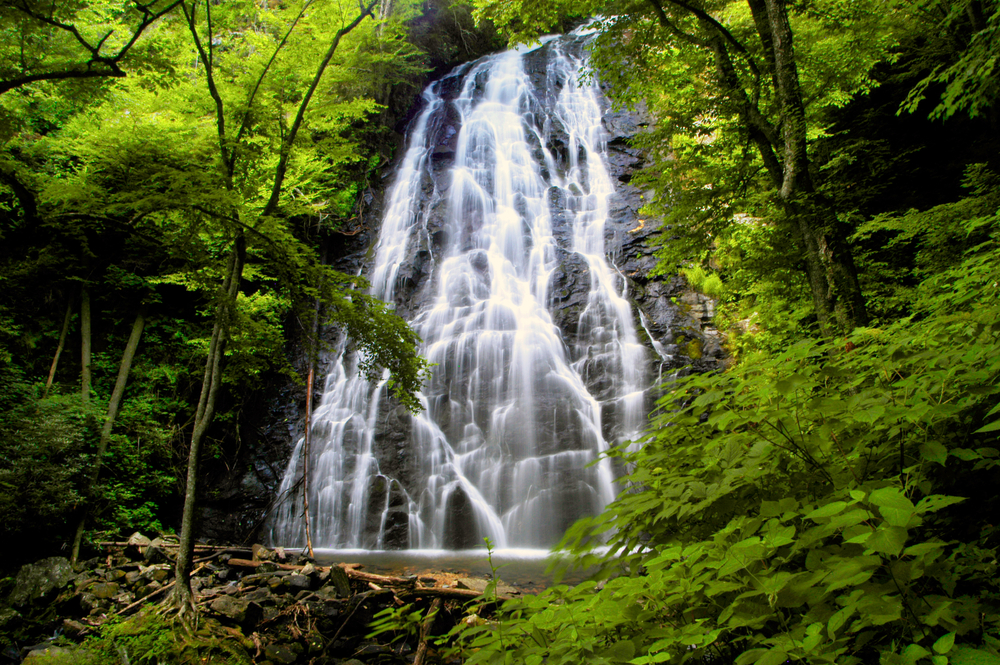 a large waterfall in the woods surrounded by vegetation, the waterfall breaks off into several cascades that are close together