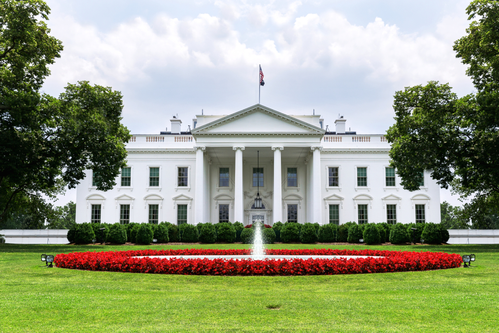 a beautiful photo of the White House in Washington DC. you can also see the front lawn with beautiful flowers and a fountain in the front. 