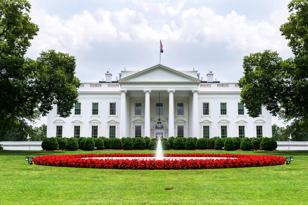 a beautiful photo of the White House in Washington DC. you can also see the front lawn with beautiful flowers and a fountain in the front.