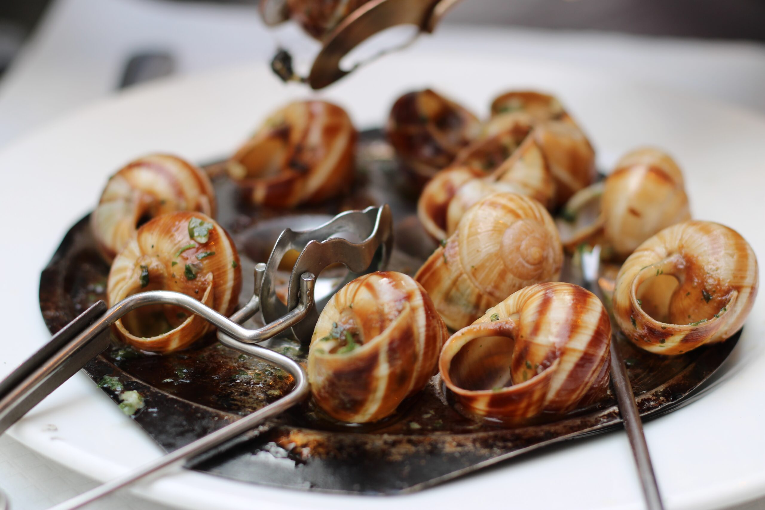 a plate of snails a French food you must try on your trip to Paris