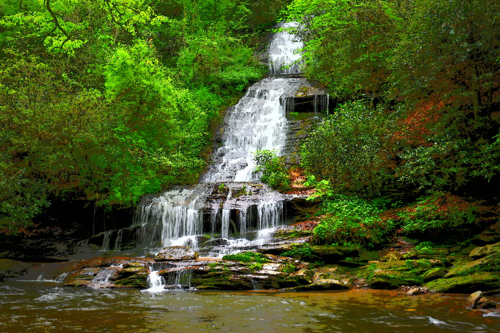 deep creek falls between vibrant green trees mixed with little orange plants, what you will find in Bryson city 