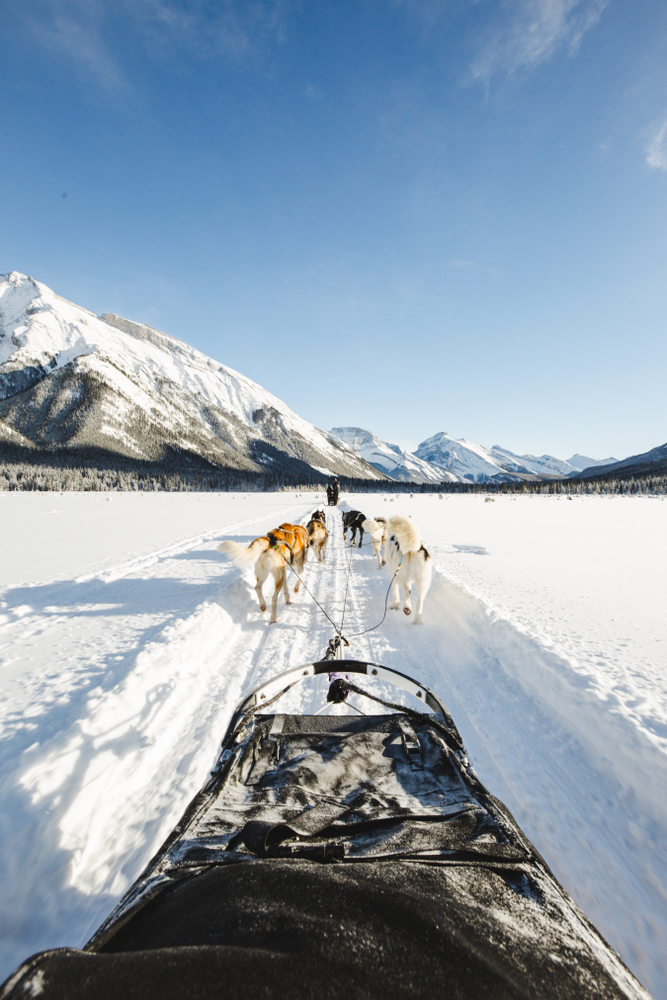 View of dogs pulling a sled through snow towards mountains.
