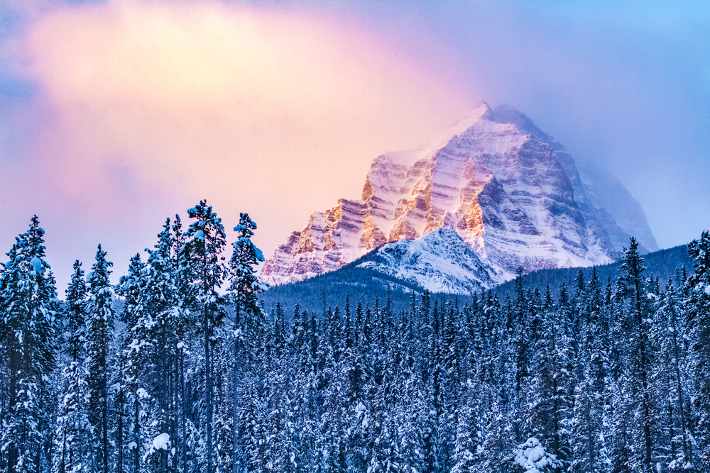 Pretty pink sunset over a snowy mountain and trees in Banff National Park.