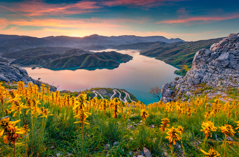 a view of yellow flowers overlooking one of he best hikes in Albania. there is a pretty lake with big mountains all around at sunset. this is one of the best places to visit in Europe in April. 