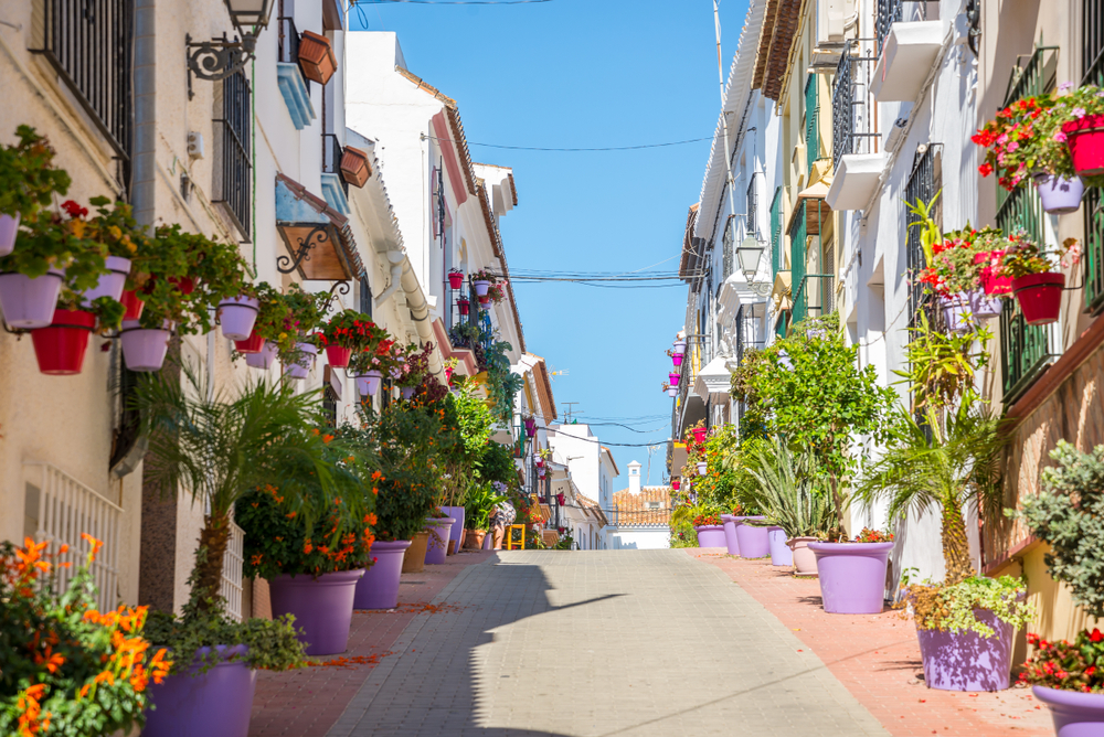 the streets of malaga Spain with flowers and plants lining the streets. 