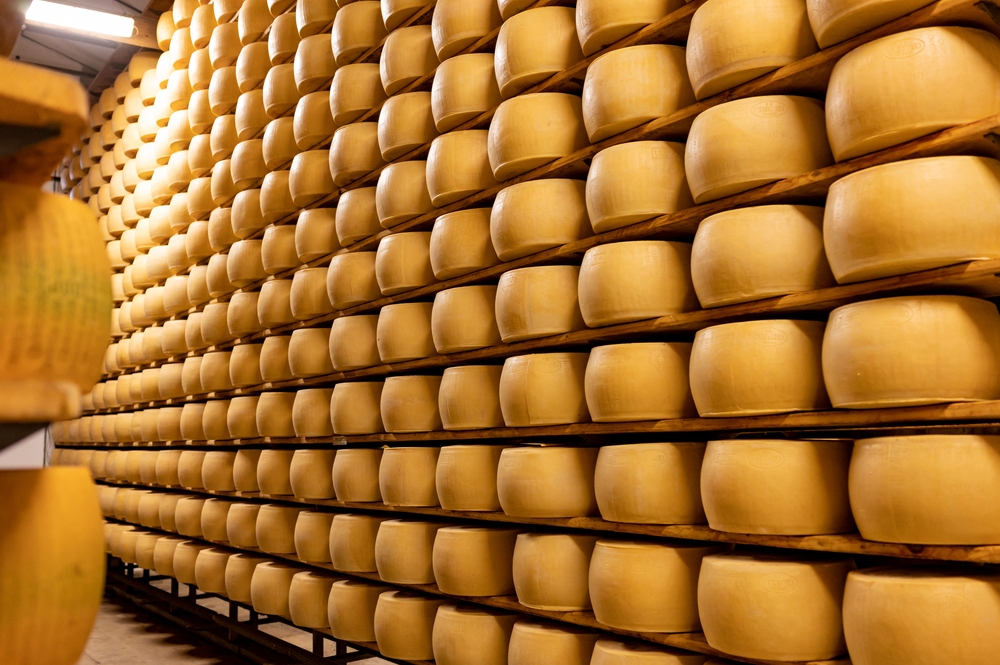 Shelves of Parmesan cheese wheels.