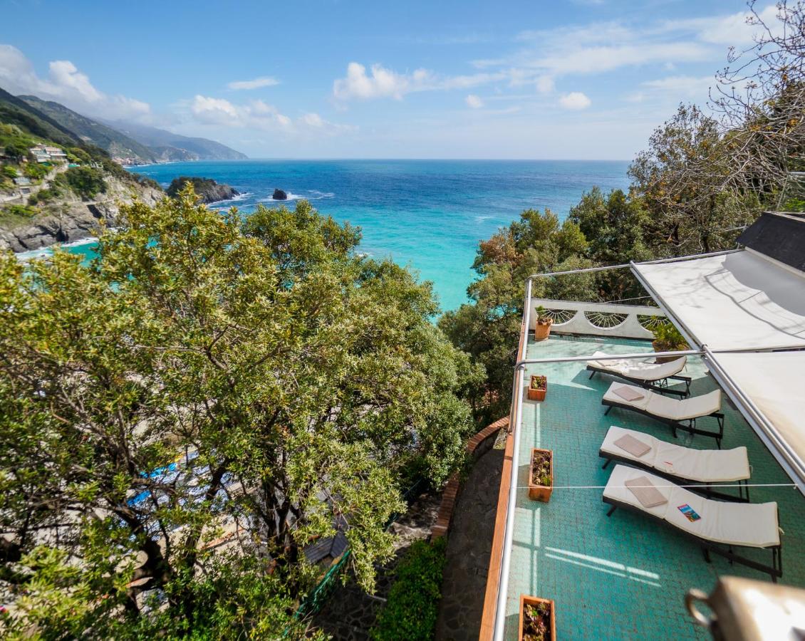 View from a terrace with loungers looking over trees to the ocean.