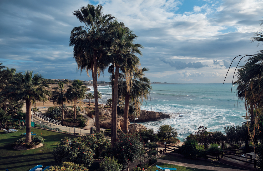 the beautiful view of one of the beaches on the island of Cyprus. There are palm trees lots of places to relax. this is one of the best best places to visit in Europe in February