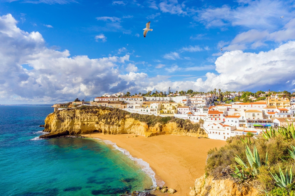 Fishermans beach in Albufeira during a summer day. you can see the white buildings of old town in the back around with a seagull flying in the front. this is one of best European summer vacations! 