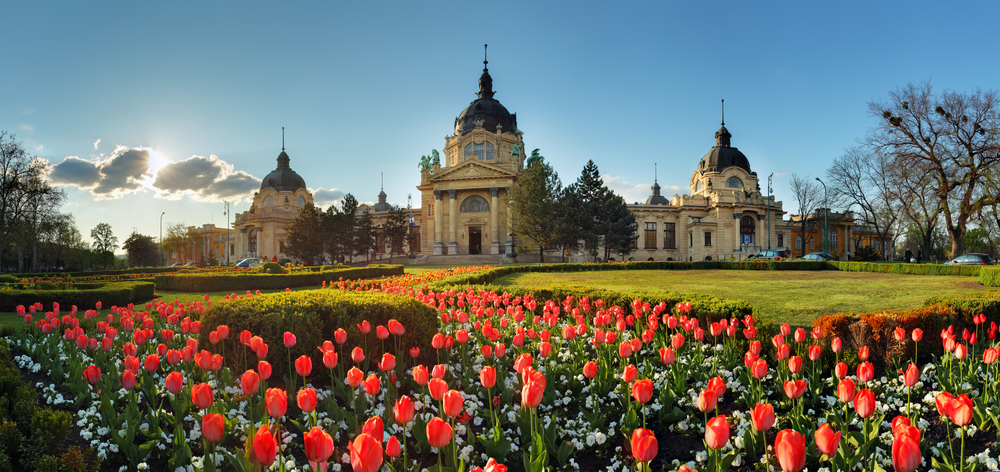 An ornate building with red tulips and white flowers in front of it.